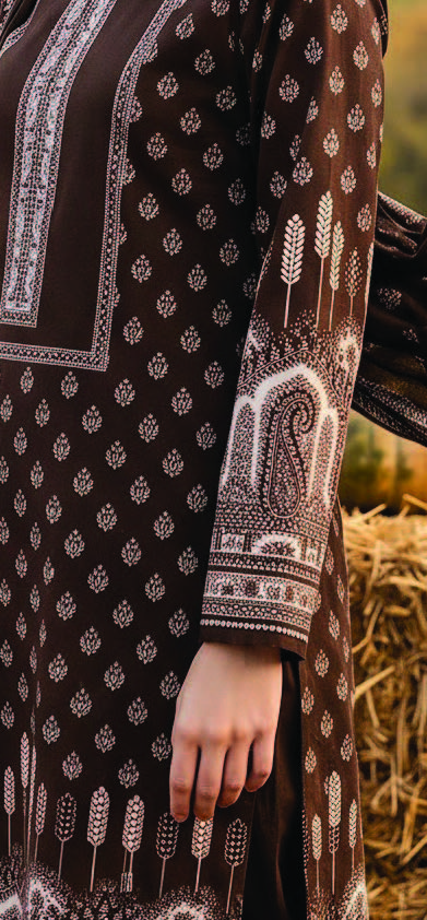 Salina Khaddar Vol 3 — Article 09 view 4